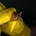fish hook 1