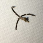 fishhook 3